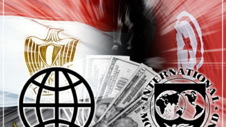 مديرة صندوق النقد الدولي: نزيف الاحتياطي المصري لن يتوقف إلا بتخفيض قيمة الجنيه | اقتصاد